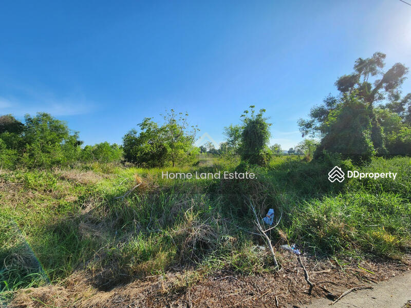 ปาร์คแอนด์การ์เด้นรีสอร์ท, Chachoengsao