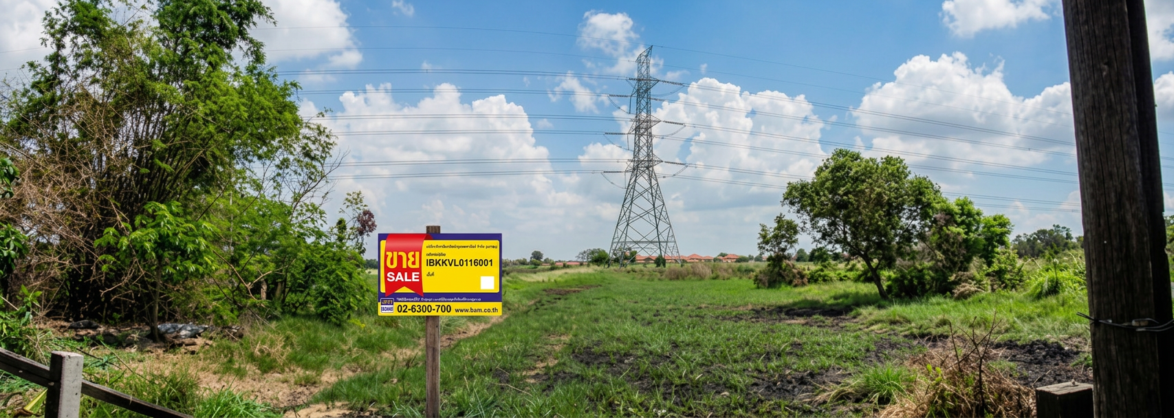 Empty land, twin coconut trees, Nong Chok area.