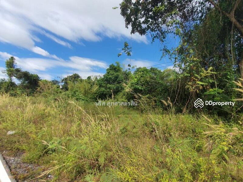 ที่ดินปราจีนบุรี, Prachin Buri