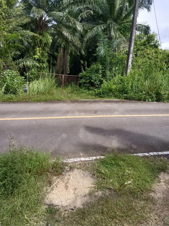 ที่ดินว่างเปล่า สิเกา ตรัง