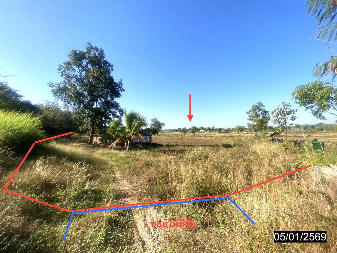 ที่ดินว่างเปล่า โพนพิสัย หนองคาย