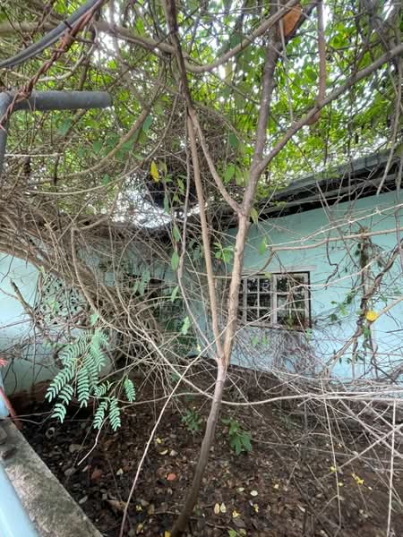 3-BR House, Chon Buri (Pattaya)