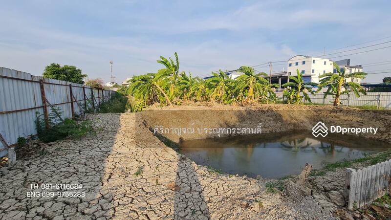 ขายที่ดิน ใกล้ถนนกาญจนา บรมราชชนนี ตลิ่งชัน, Bangkok