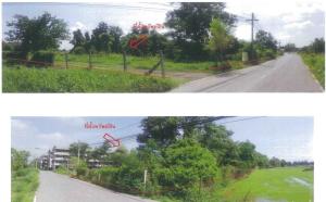 ที่ดินเปล่า วังทอง จังหวัดพิษณุโลก
