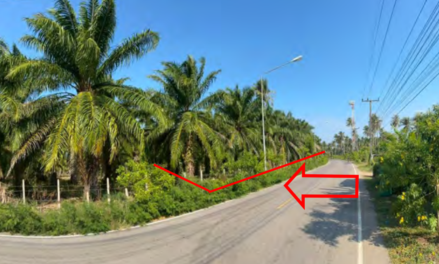 ที่ดินว่างเปล่า ทับสะแก ประจวบคีรีขันธ์