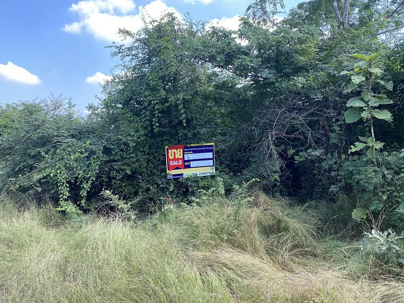 Empty land, Sakthong Property Farm Project, Lamphun