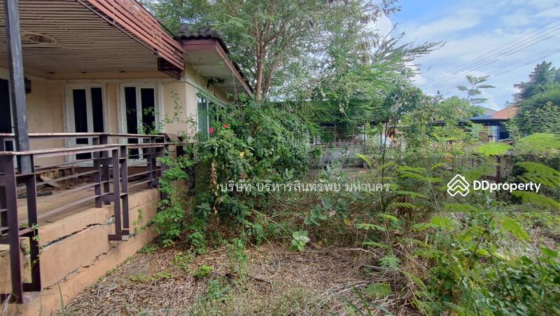 Single House Sapsiri Tha Sala Muang Lop Buri, Lop Buri
