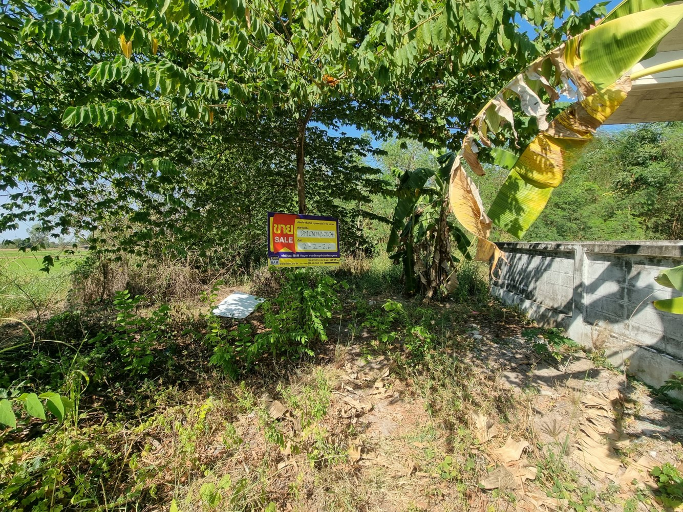 New Land Project at Ugkrit House, Chainat