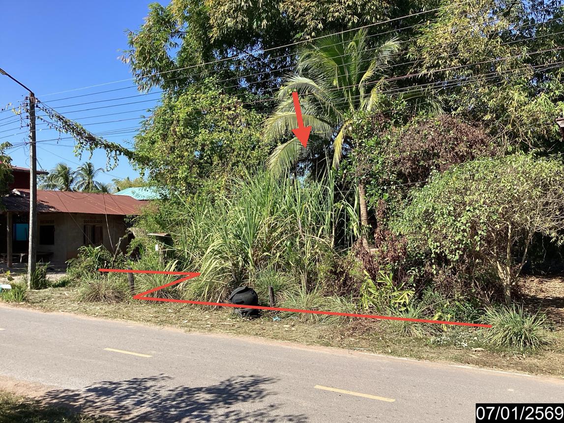 ที่ดินว่างเปล่า สุวรรณคูหา หนองบัวลำภู