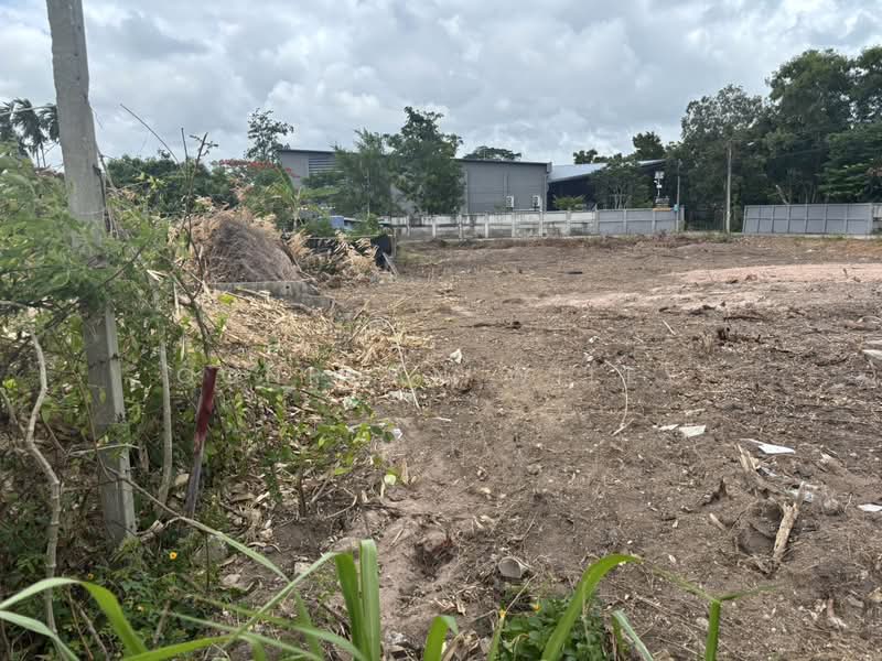 Land for sale, Chon Buri (Pattaya)