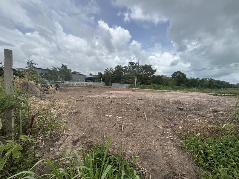 Land for sale, Chon Buri (Pattaya)