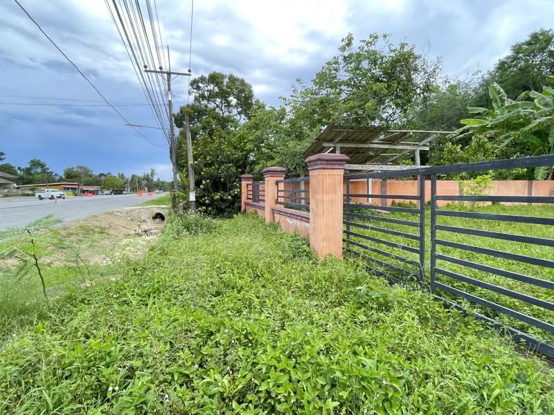 ที่ดินนบพิตำ นครศรีธรรมราช, Nakhon Si Thammarat