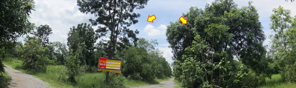 Empty land plot in Chitcharoen Land project, Nakhon Ratchasima.
