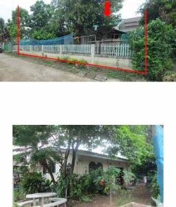 Single Detached House in Chiang Mai, Chai Prakan