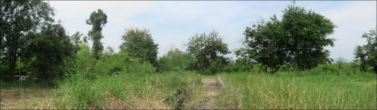 ที่ดินเปล่า เพชรบุรี