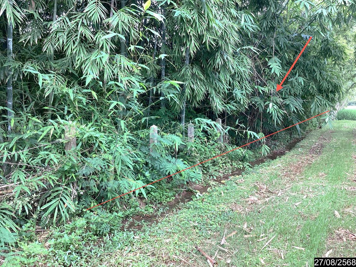 Empty Land for Sale in Phayen, Udon Thani