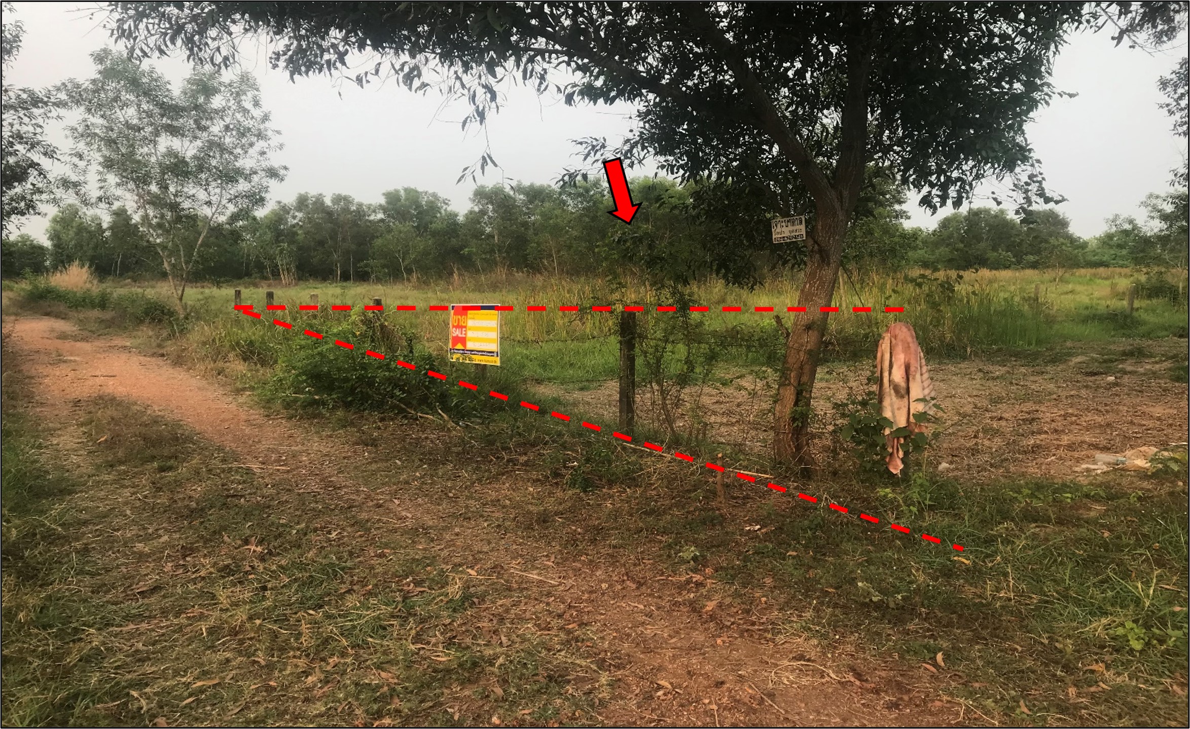 Land for sale in Khon Kaen