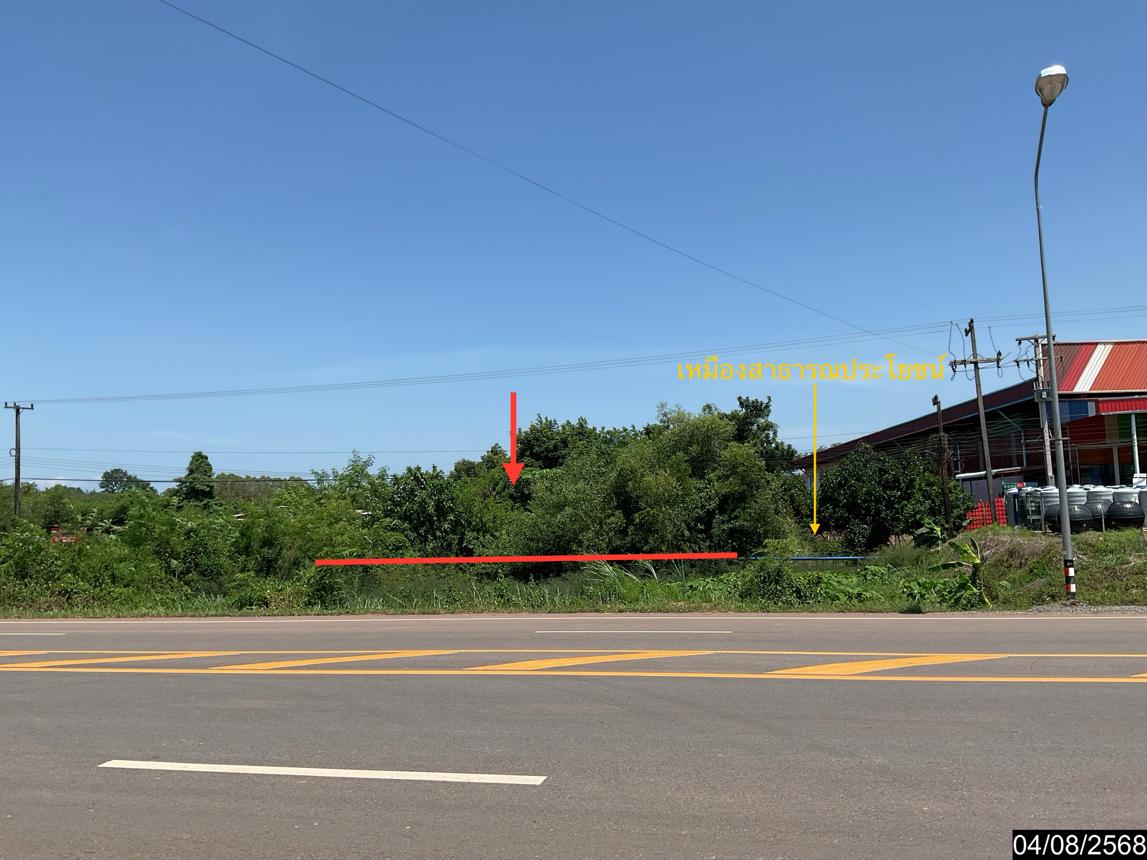 Empty land for sale in Pak Khat, Bueng Kan Province.