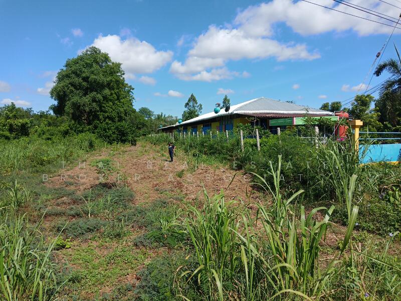 ขายที่ดินศรีเทพ ติดแม่น้ำป่าสัก เพชรบูรณ์, Phetchabun