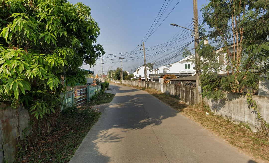 ไม่มี