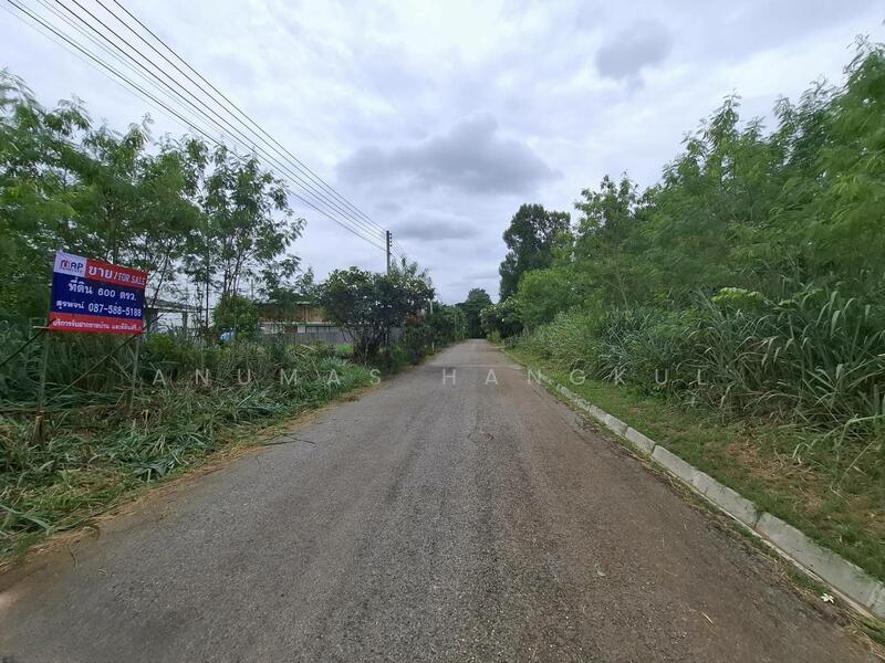 ขายที่ดิน แปลงสวยบนเนิน วิวเขาใหญ่ สภาพแวดล้อมดีมาก, Nakhon Ratchasima