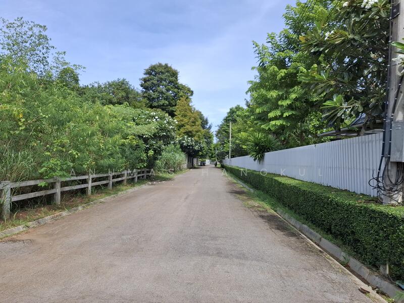 ขายที่ดิน แปลงสวยบนเนิน วิวเขาใหญ่ สภาพแวดล้อมดีมาก, Nakhon Ratchasima