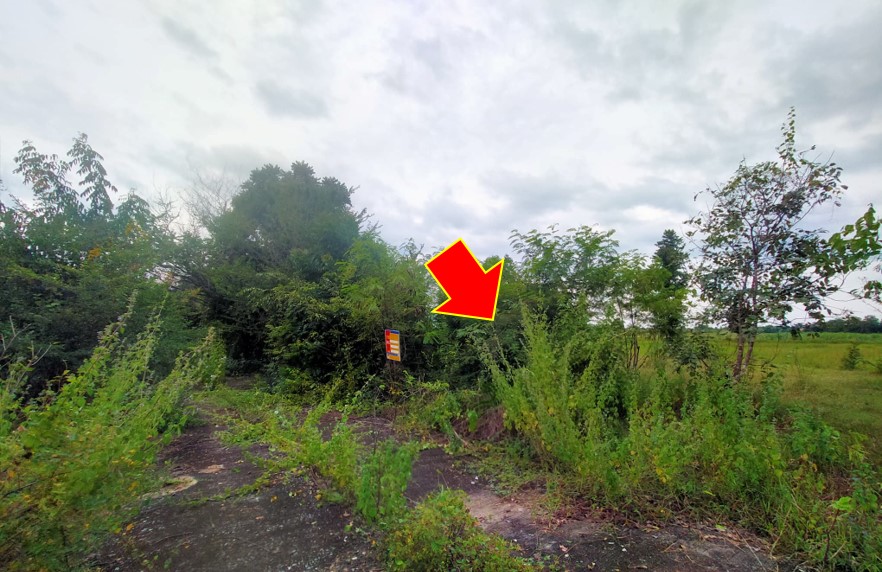 Empty land, Prathipholand Project, Khon Kaen Province
