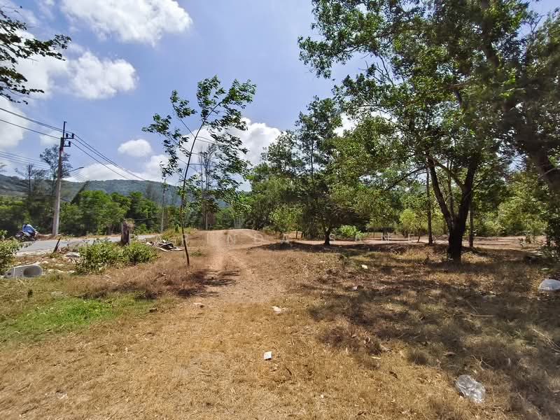 Last beautiful land plot in Kamala,Phuket, Phuket