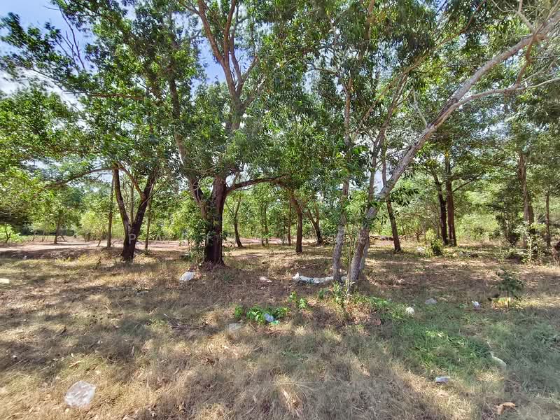 Last beautiful land plot in Kamala,Phuket, Phuket
