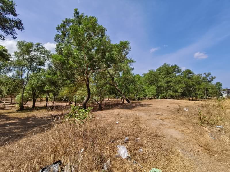 Last beautiful land plot in Kamala,Phuket, Phuket