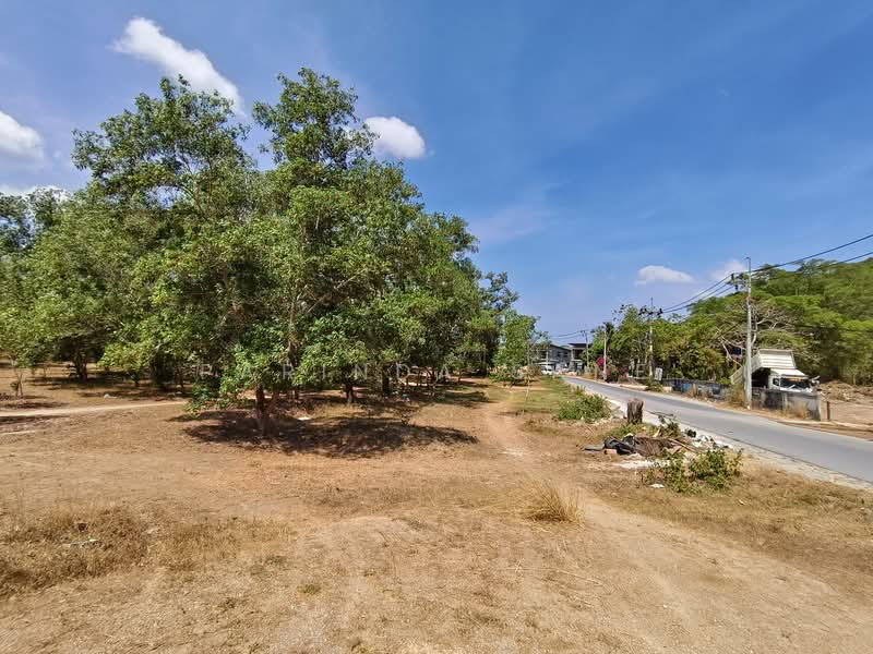 Last beautiful land plot in Kamala,Phuket, Phuket