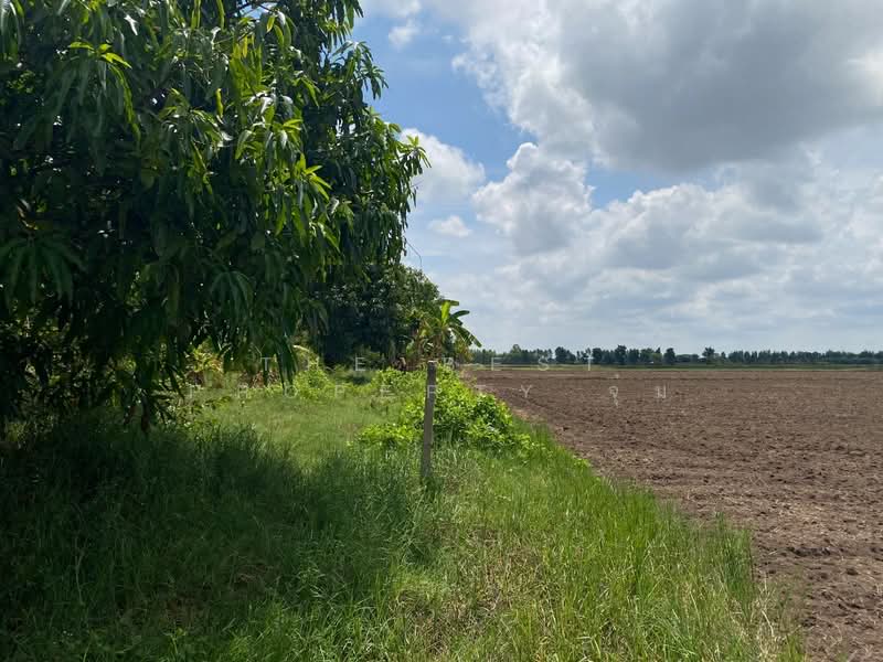 ที่ดินชุมพวง นครราชสีมา, Nakhon Ratchasima