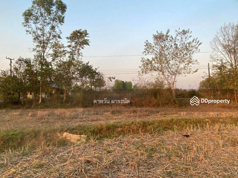 Land For Sale, Nong Khai