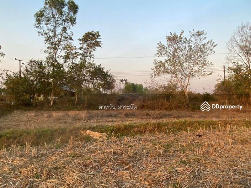 Land For Sale, Nong Khai
