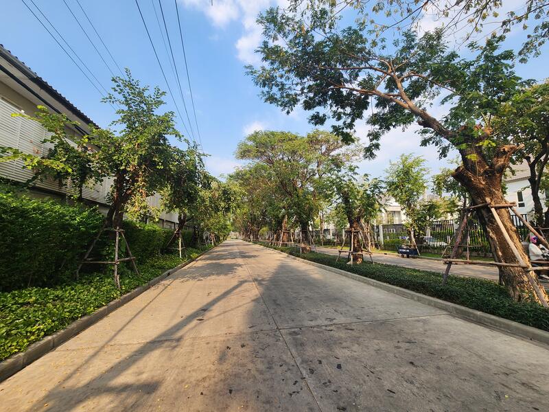 Anasiri Chaiyapruek-Wongwaen, Nonthaburi