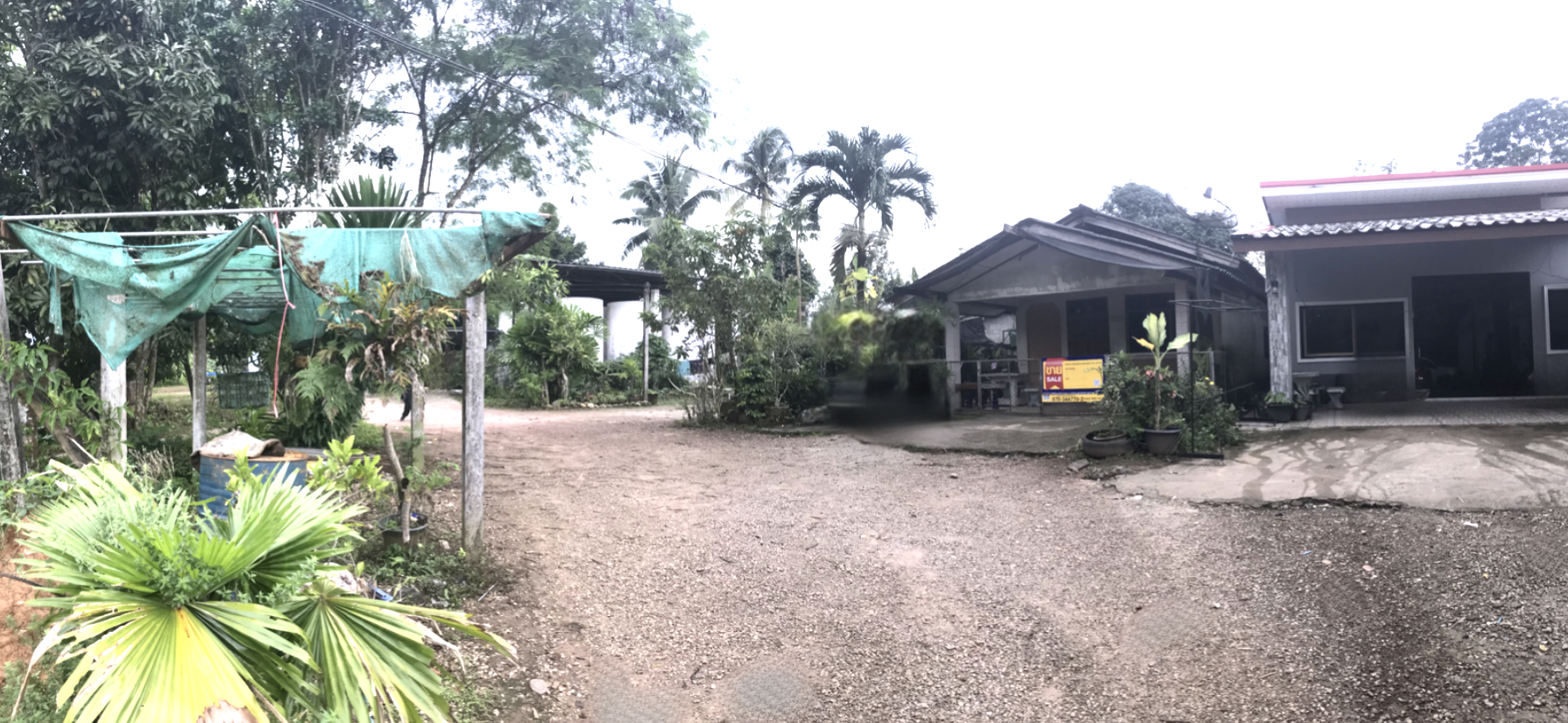 บ้านเดี่ยว ปะเหลียน ตรัง