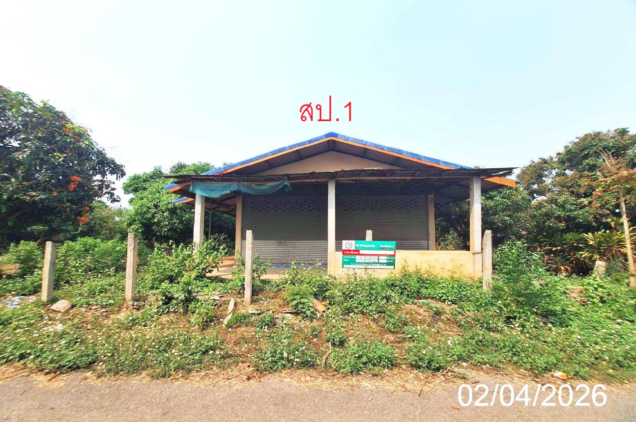 Single House in Li, Lamphun
