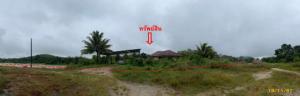 Land with a house for sale in Taphan Hin, Phatthalung Province