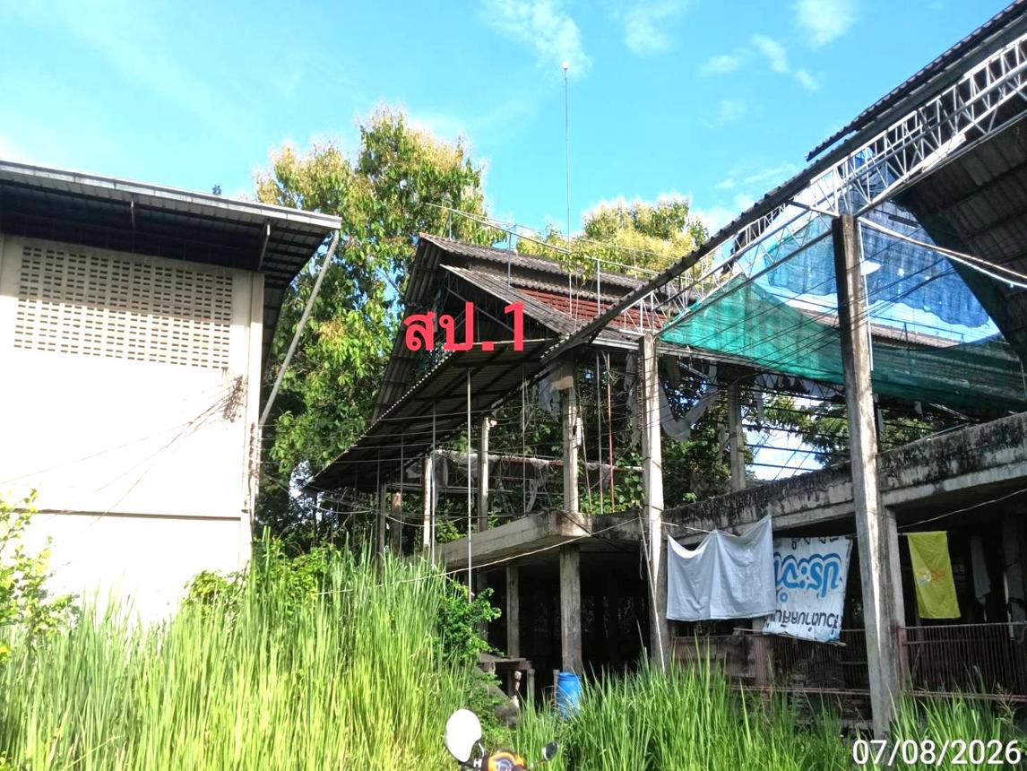 Warehouse in Mae Wang, Chiang Mai

* 1,000 ตารางเมตร (1,076 ตารางยارد) พื้นที่ใช้งาน
* 3 อาคารโกดัง
* 5 ชั้น
* 10,000 ตันความจุ
* 3 ช่องทางเข้าออก
* 1 ช่องทางเข้าออกโดยรถบรรทุก
* ระบบความปลอดภัย 24 ชั่วโมง
* ระบบระบายอากาศ
* ระบบไฟฟ้า
* ระบบน้ำ
* ระบบสุขาภิบาล