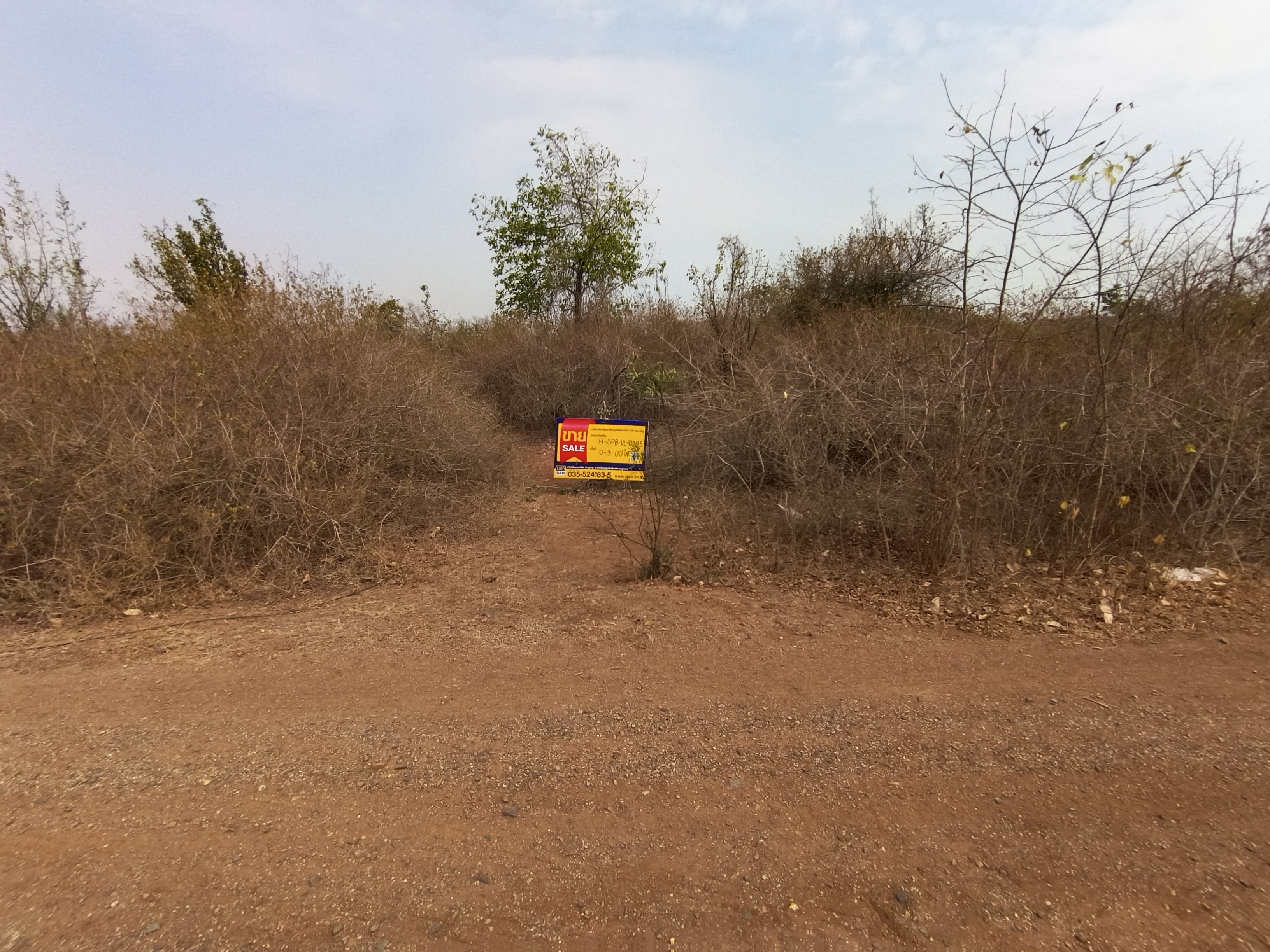 Empty land, Uthong Sak Ton project, Suphan Buri