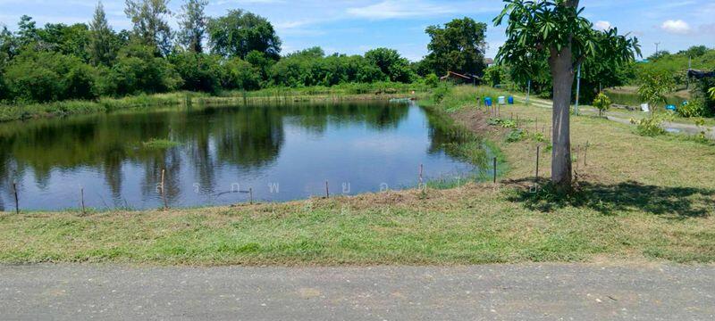 ขายที่ดินพร้อมบ้านตึกครึ่งไม้ 2 ชั้น เนื้อที่ 3 ไร่ 2 งาน ซอยวัดหอมศีล, Samut Prakan