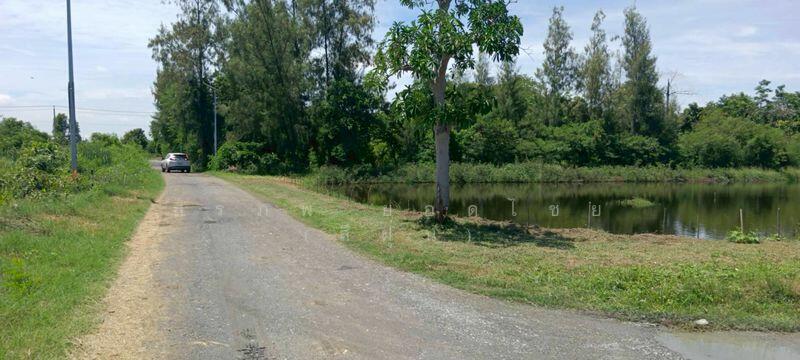 ขายที่ดินพร้อมบ้านตึกครึ่งไม้ 2 ชั้น เนื้อที่ 3 ไร่ 2 งาน ซอยวัดหอมศีล, Samut Prakan
