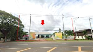 ที่ดินพร้อมสิ่งปลูกสร้าง น้ำยืน จังหวัดอุบลราชธานี