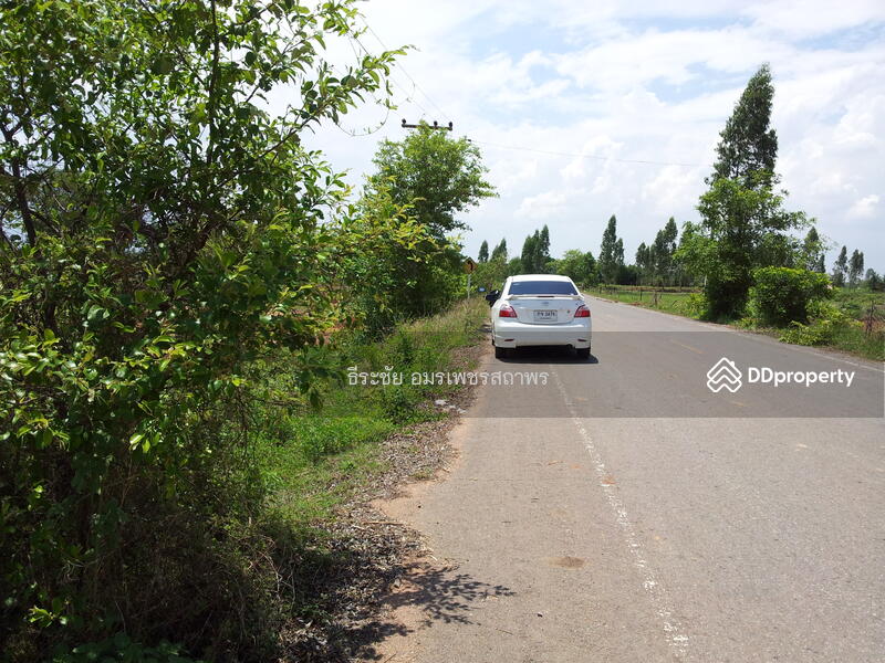 ขายถูก ที่ดิน ติดถ.ดำ 2-2-70 ไร่ ต.โคกสำราญ อ.บ้านแฮด, Khon Kaen