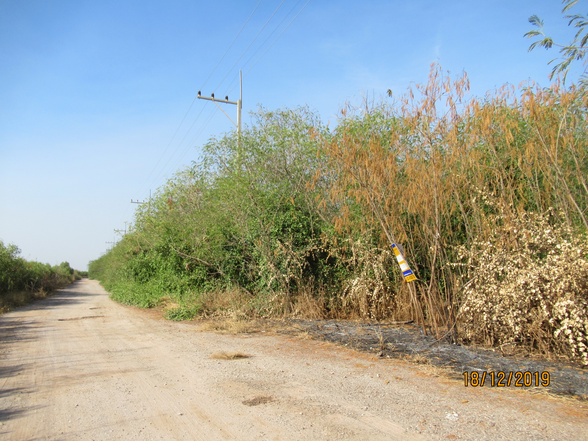 ที่ดินเปล่า โครงการเลอชาเลย์ เมืองสมุทรสาคร