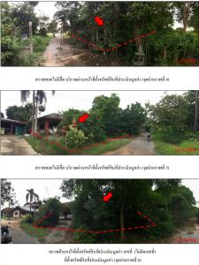 ที่ดินพร้อมสิ่งปลูกสร้าง โพธิ์ทอง จังหวัดอ่างทอง