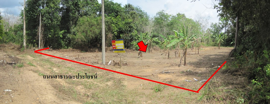 ที่ดินเปล่า โครงการกาวะ นราธิวาส
