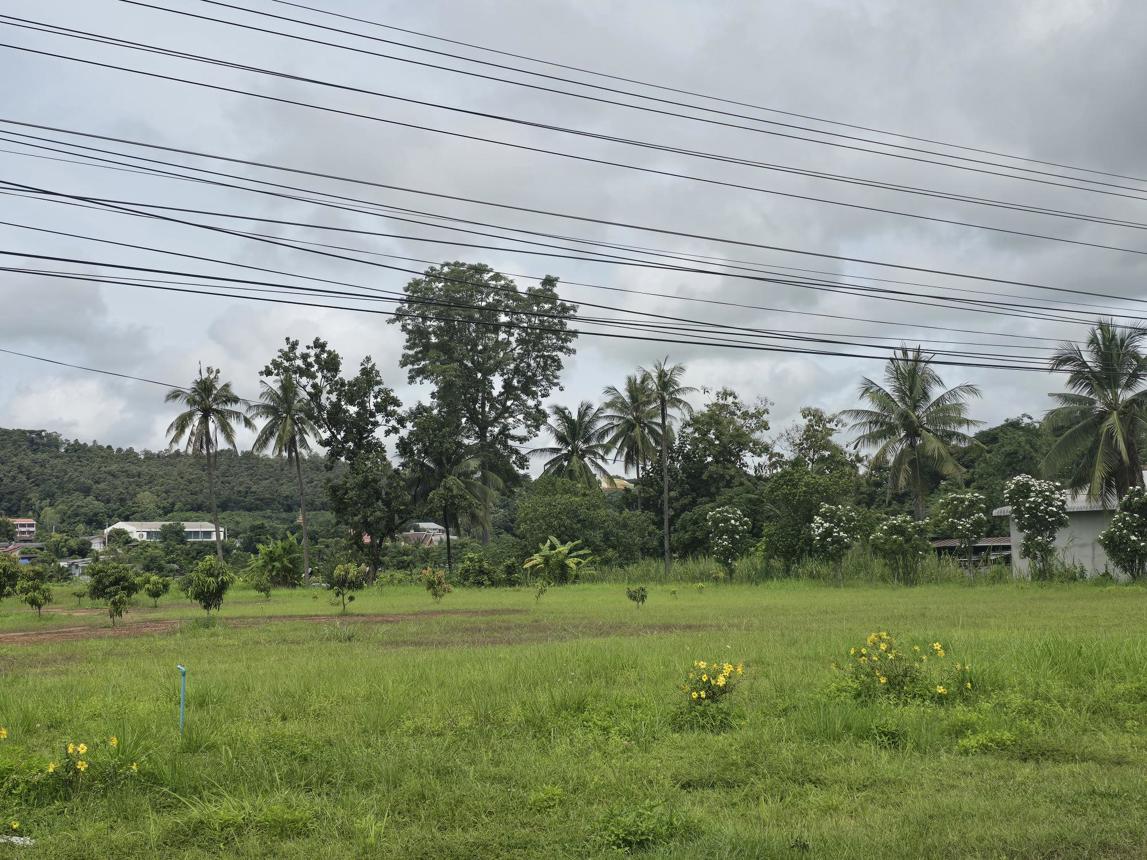 Empty land for sale in Muang Chiang Rai, Chiang Rai Province.