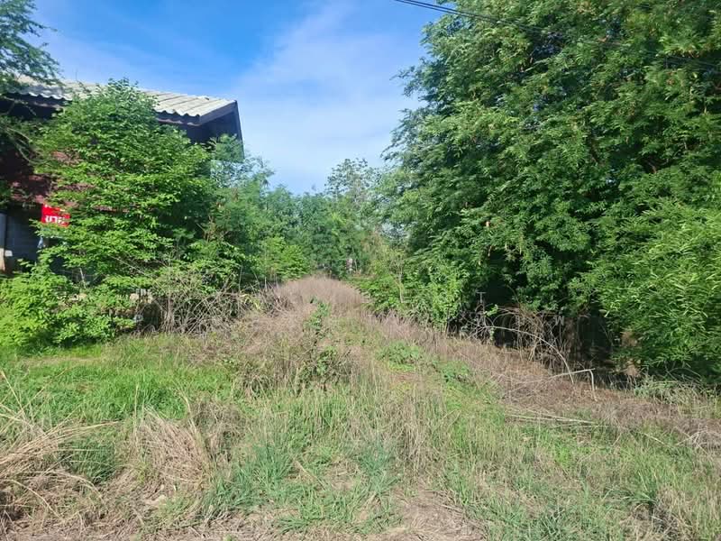 บ้านเดี่ยวเดิมบางนางบวช สุพรรณบุรี, Suphan Buri
