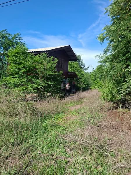 บ้านเดี่ยวเดิมบางนางบวช สุพรรณบุรี, Suphan Buri